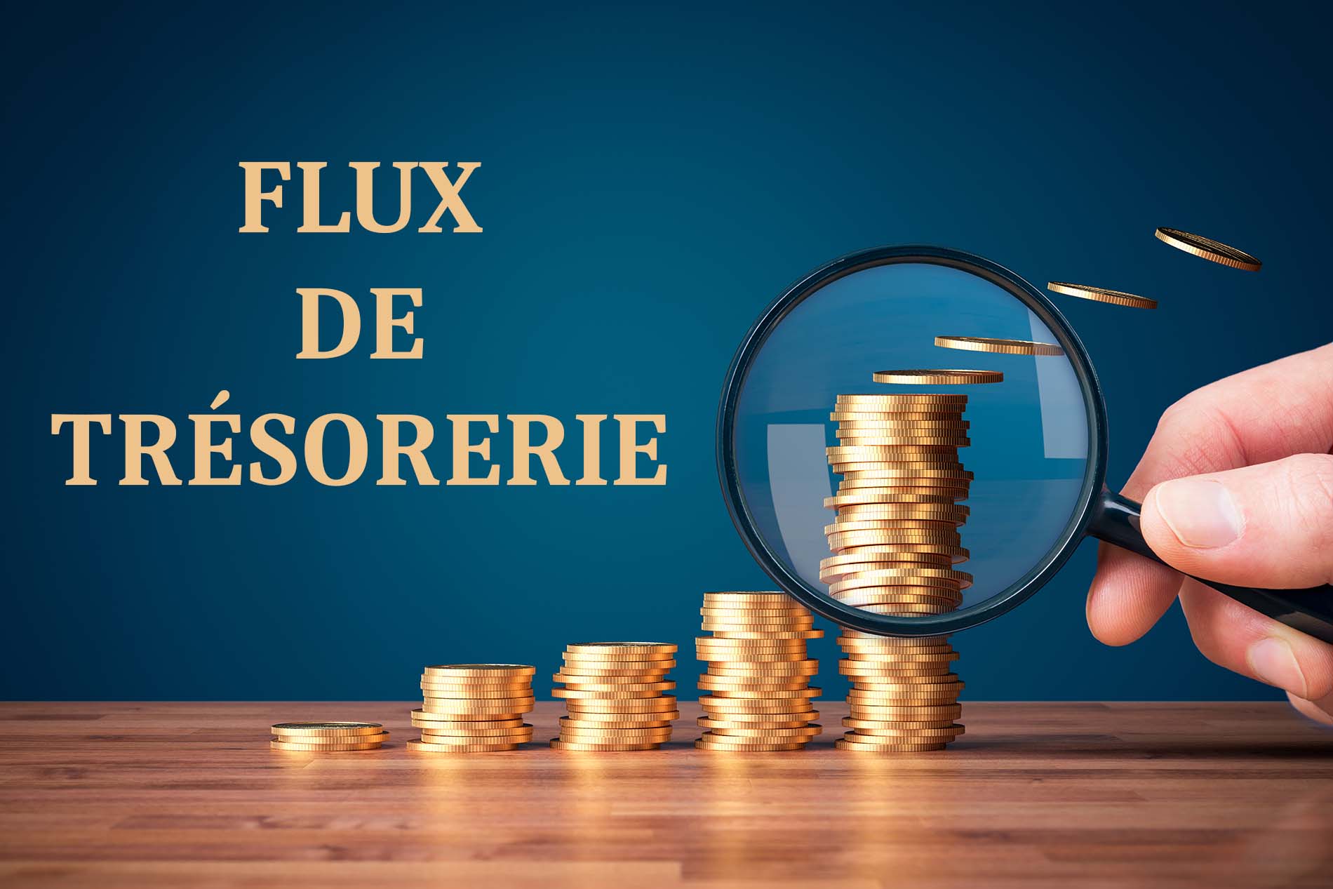 Définition du flux de trésorerie