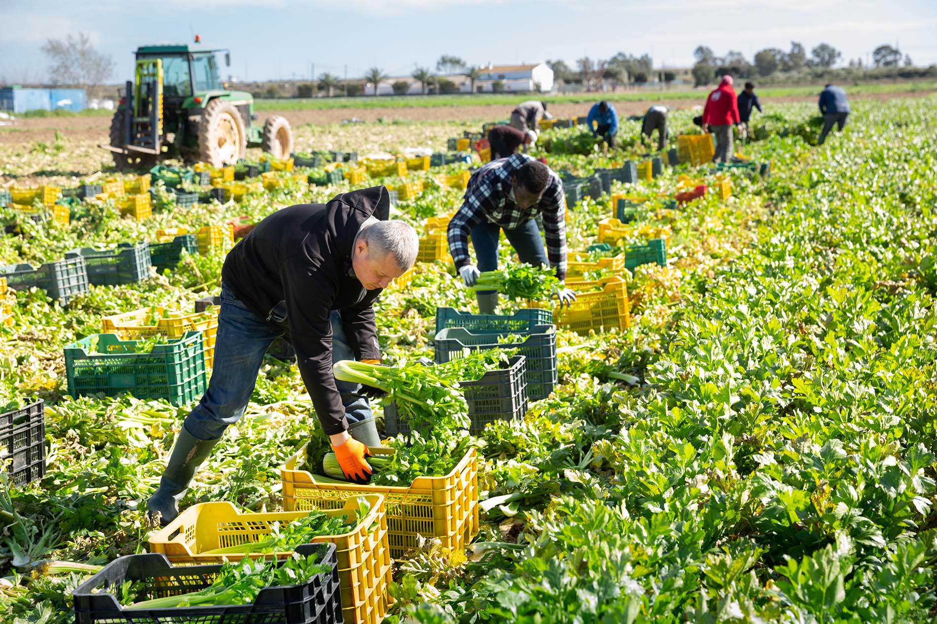 Factoring pour l'agriculture