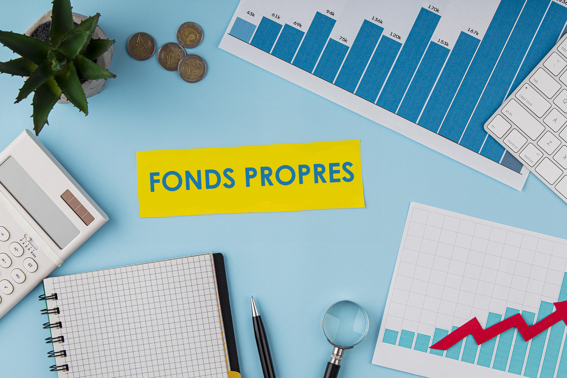 Qu’est-ce que les fonds propres ?