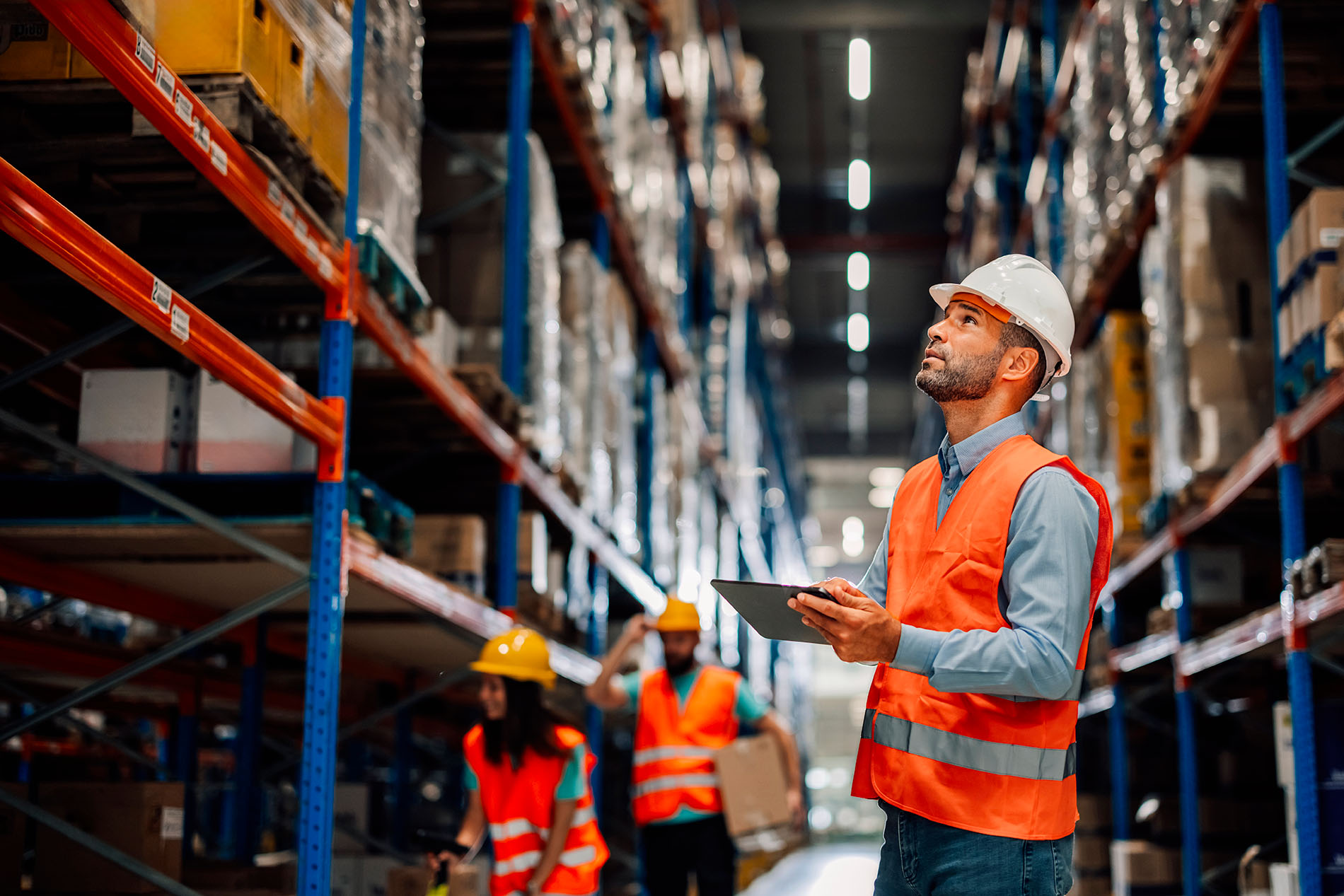 Définition du procurement